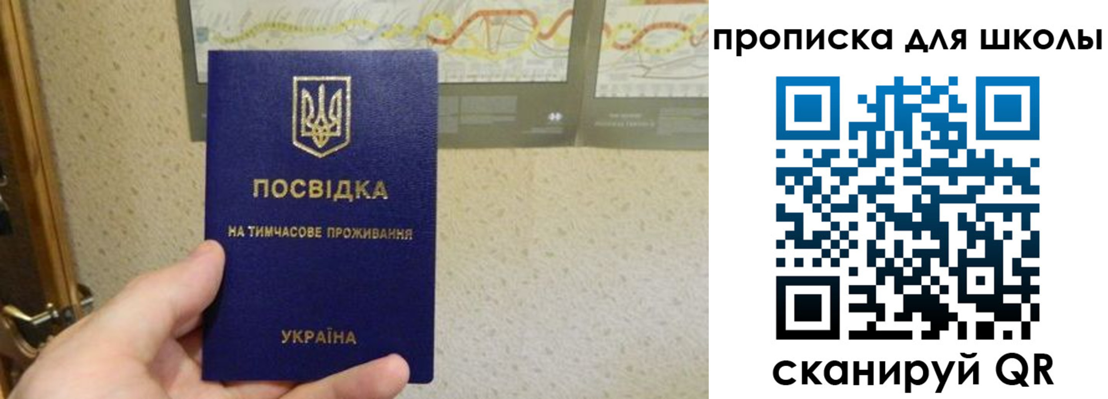 найти адрес прописки в Палласовке
